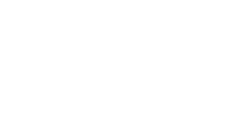 PELLE MORBIDA